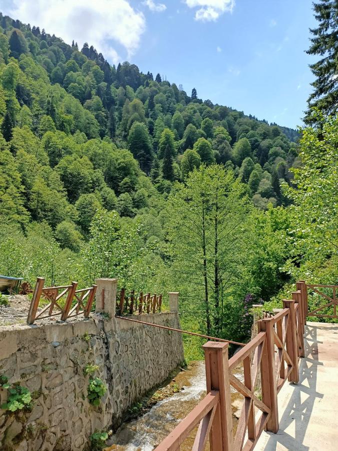 Ferah Butık Otel Çamlıhemşin Bagian luar foto